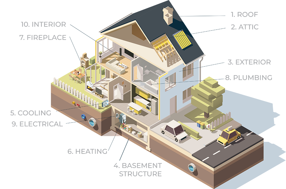 Infographic showing what's inspected in a home inspection.